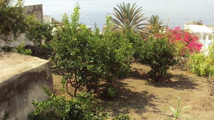 Casa Mare Blu Hotel Ginostra Exterior photo